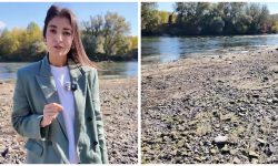 VIDEO Olga Ursu, despre starea râului Nistru: Este catastrofală și fără precedent