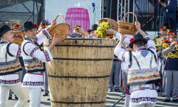 Moldova se pregătește de Ziua Națională a Vinului: Circa zece mii de turiști, așteptați la ediția aniversară