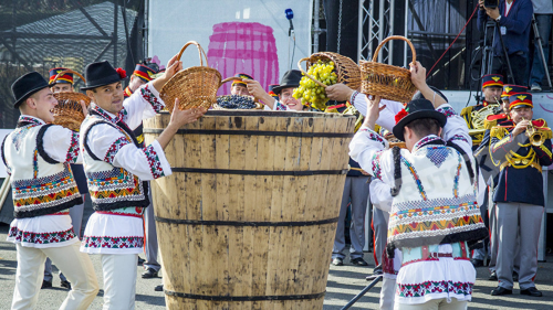 Moldova se pregătește de Ziua Națională a Vinului: Circa zece mii de turiști, așteptați la ediția aniversară