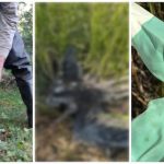 FOTO Cinci păsări protejate, împușcate la Rîșcani: Printre acestea, un cocostârc urmărit prin GPS în drumul spre Africa