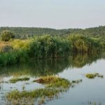 Avertizare hidrologică: Scăderi semnificative ale debitelor pe Nistru, Prut și râurile mici