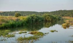 Avertizare hidrologică: Scăderi semnificative ale debitelor pe Nistru, Prut și râurile mici