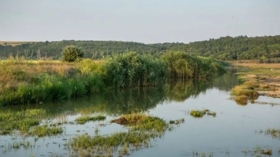 Avertizare hidrologică: Scăderi semnificative ale debitelor pe Nistru, Prut și râurile mici