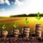 Peste 82 de milioane de lei pentru agricultori, autorizați la plată în august: Unde ajung cei mai mulți bani