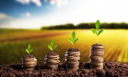 Peste 82 de milioane de lei pentru agricultori, autorizați la plată în august: Unde ajung cei mai mulți bani