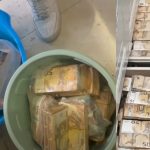 „Comoară” de 3,2 milioane de euro, descoperită într-un apartament. Polițiștii au scos banii cu gălețile