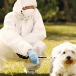 Aproape 60 de cazuri de rabie la animale, înregistrate anul trecut în Moldova