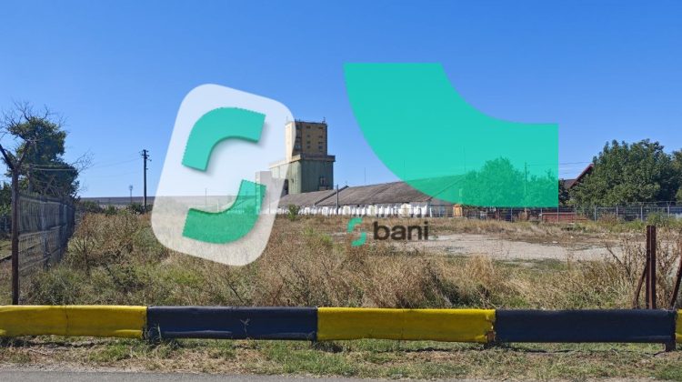 Au ruginit visele lui Bolea! Niciun tren nu a trecut prin Cantemir–Fălciu în peste patru luni de la inaugurare