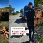 VIDEO Control inopinat la Întreprinderea pentru Silvicultură Iargara. Au fost găsite mașini cu lemn obținut ilegal