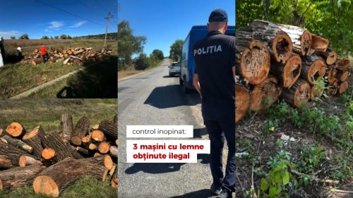 VIDEO Control inopinat la Întreprinderea pentru Silvicultură Iargara. Au fost găsite mașini cu lemn obținut ilegal