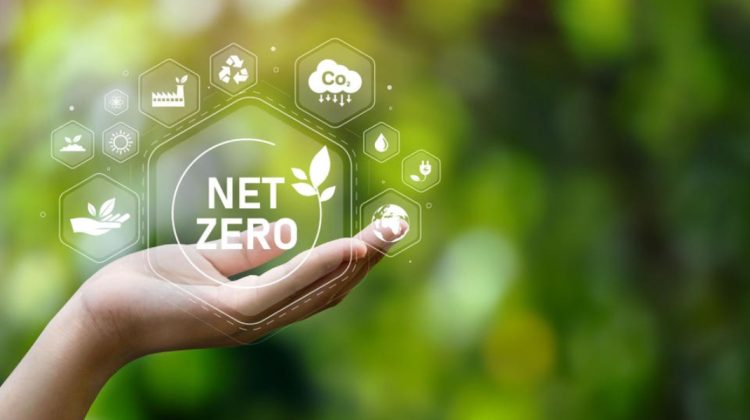 Forbes publicat clasamentul Net Zero Leaders: Vezi cele mai sustenabile companii din 2026