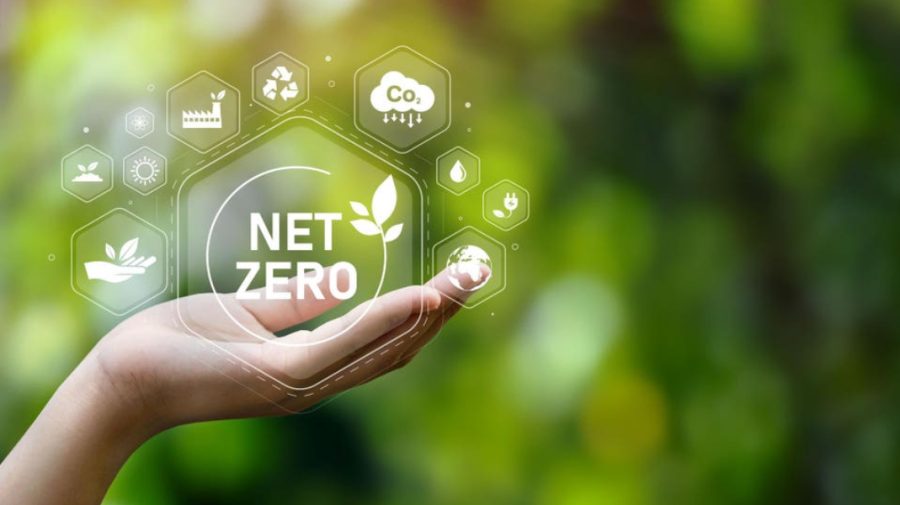 Forbes a publicat clasamentul Net Zero Leaders: Vezi cele mai sustenabile companii din 2026