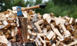 Prețul lemnelor de foc în această iarnă: Raioanele care vor plăti mai mult decât anul trecut