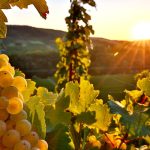 Furtuni anunțate în capitală și în nordul țării: Temperaturile prognozate