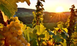 Furtuni anunțate în capitală și în nordul țării: Temperaturile prognozate