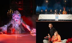 Teatrul „Eugène Ionesco” invită publicul la trei spectacole: „Uciderea lui Gonzago”, „Gaițele” și „Arta Conviețuirii”