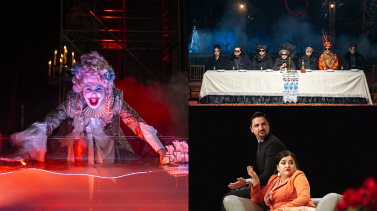 Teatrul „Eugène Ionesco” invită publicul la trei spectacole: „Uciderea lui Gonzago”, „Gaițele” și „Arta Conviețuirii”