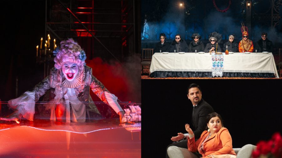 Teatrul „Eugène Ionesco” invită publicul la trei spectacole: „Uciderea lui Gonzago”, „Gaițele” și „Arta Conviețuirii”