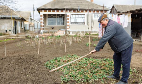 Statistică: Domeniile în care muncesc vârstnicii din Moldova