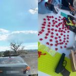 VIDEO Fără permis și cu droguri în rucsac: Un tânăr, stopat pe traseul M5