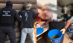 VIDEO Poliția confirmă reținerea lui „Nekoglai” și a iubitei sale. Vindeau droguri prin rețelele sociale