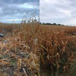Explozie în raionul Florești, localizată pe un câmp. Zgomotele puternice au fost semnalate de localnici