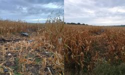 Explozie în raionul Florești, localizată pe un câmp. Zgomotele puternice au fost semnalate de localnici