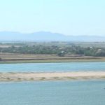 Nivelul scăzut al Dunării provoacă probleme navigației: O navă încărcată a rămas blocată lângă Ruse