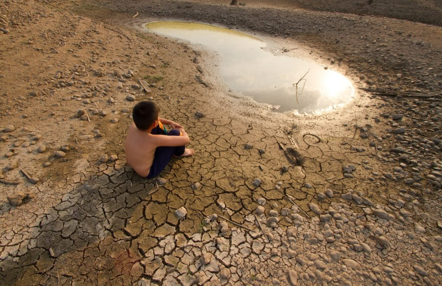 El Niño „Godzilla” schimbă vremea la nivel global: Cum ne putem pregăti pentru efectele fenomenului