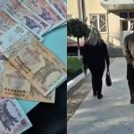VIDEO O pensionară din nordul țării, înșelată cu 92.000 de lei. Poliția a reținut un suspect