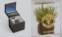 Bucăți din gazonul de pe Old Trafford, vândute fanilor de Manchester United