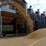 BANI.MD Moldova urcă pe locul doi în UE la exportul de grâu. Peste Serbia și Ucraina