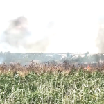 VIDEO Incendiu la Căușeni. Peste 10 hectare de teren a ars