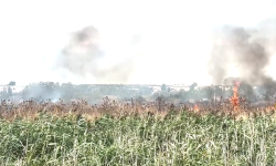 VIDEO Incendiu la Căușeni. Peste 10 hectare de teren a ars