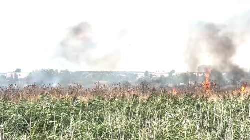 VIDEO Incendiu la Căușeni. Peste 10 hectare de teren a ars