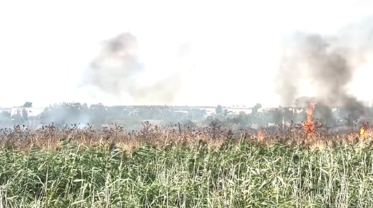 VIDEO Incendiu la Căușeni. Peste 10 hectare de teren a ars