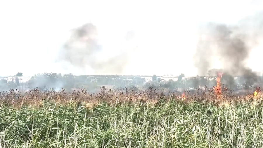 VIDEO Incendiu la Căușeni. Peste 10 hectare de teren a ars