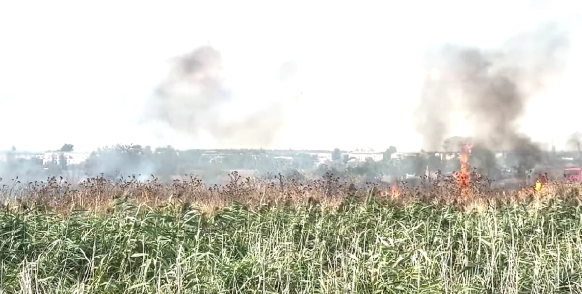 VIDEO Incendiu la Căușeni. Peste 10 hectare de teren a ars