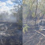FOTO Incendiu în regiunea transnistreană: Aproximativ 10 hectare de vegetație uscată, distruse