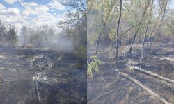 FOTO Incendiu în regiunea transnistreană: Aproximativ 10 hectare de vegetație uscată, distruse