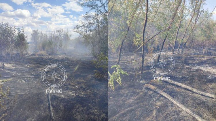 FOTO Incendiu în regiunea transnistreană: Aproximativ 10 hectare de vegetație uscată, distruse
