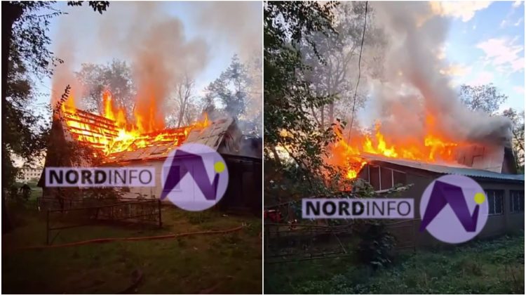 Incendiu la o cafenea din Sîngerei: Pompierii au intervenit de urgență