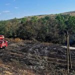 FOTO Incendii în raionul Rîbnița: 80 de hectare de vegetație uscată au ars într-o singură zi