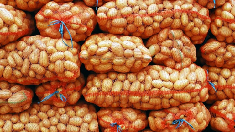 Economist: După trei ani de scădere, exporturile agricole ale Moldovei își revin. Ce produse au impulsionat creșterea