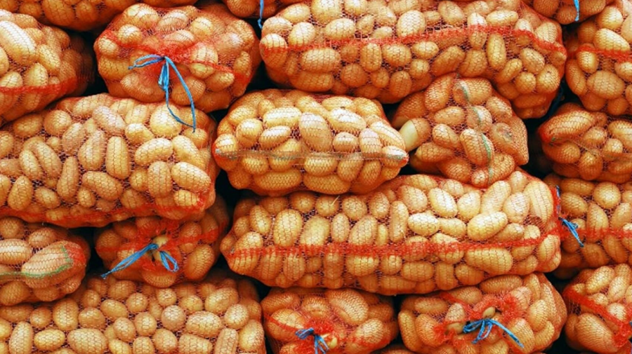 Economist: După trei ani de scădere, exporturile agricole ale Moldovei își revin. Ce produse au impulsionat creșterea