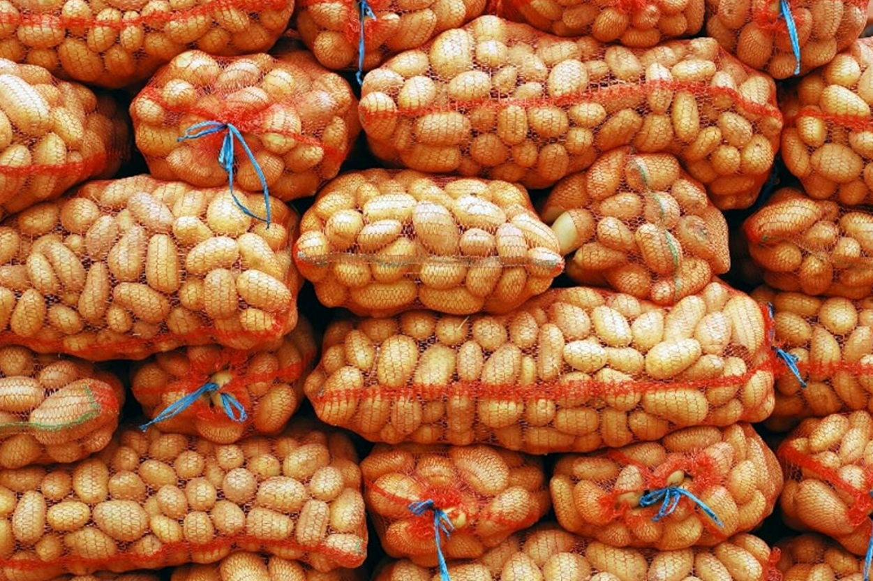 Economist: După trei ani de scădere, exporturile agricole ale Moldovei își revin. Ce produse au impulsionat creșterea