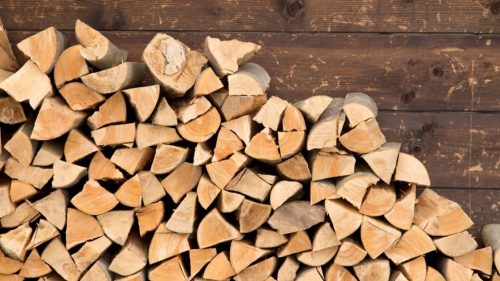 Se apropie sezonul rece: Cât îi costă pe moldoveni un metru cub de lemn de foc