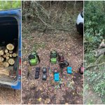Patru persoane, depistate în timp ce tăiau copaci în raionul Ocnița. Au urmat percheziții
