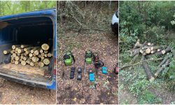 Patru persoane, depistate în timp ce tăiau copaci în raionul Ocnița. Au urmat percheziții