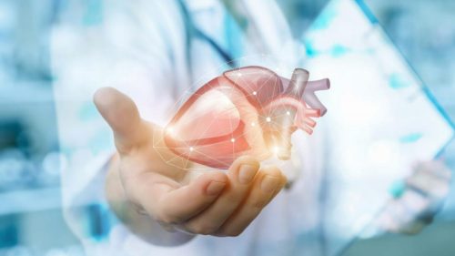 Organe artificiale și medicina viitorului: Lumea științifică se întâlnește la Iași